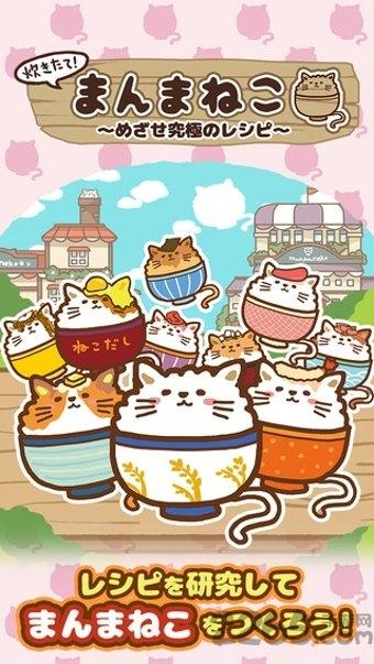 猫咪盖饭汉化破解版下载,猫咪盖饭,猫咪游戏,经营游戏